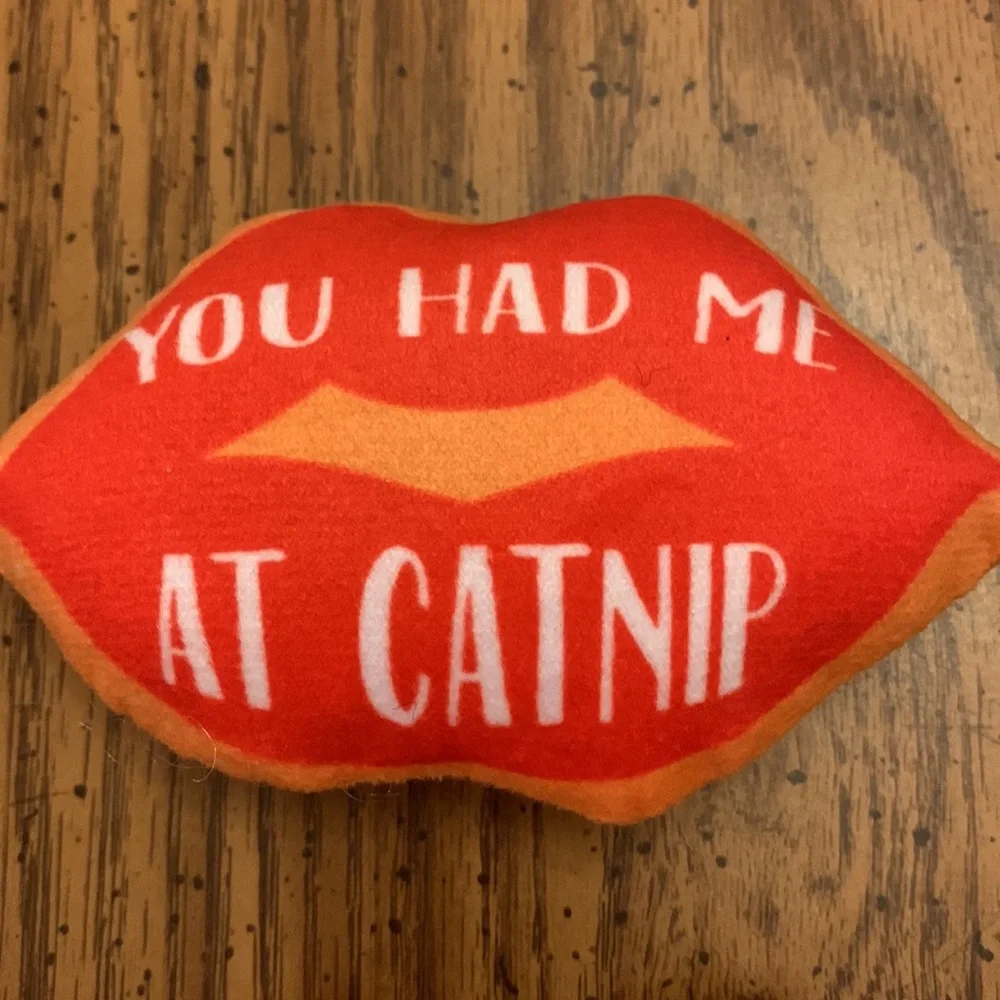 Frisco Graphic Valentine Hearts 4 Piece Variety Plush Cat Toys With Cat Nip.